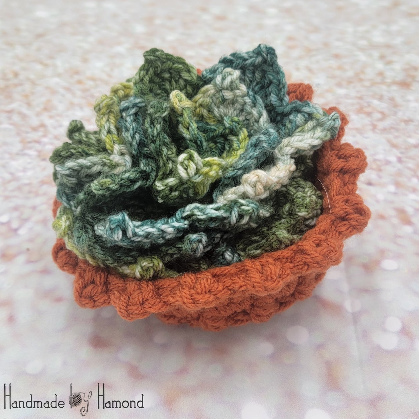 Crochet Succulent Coasters