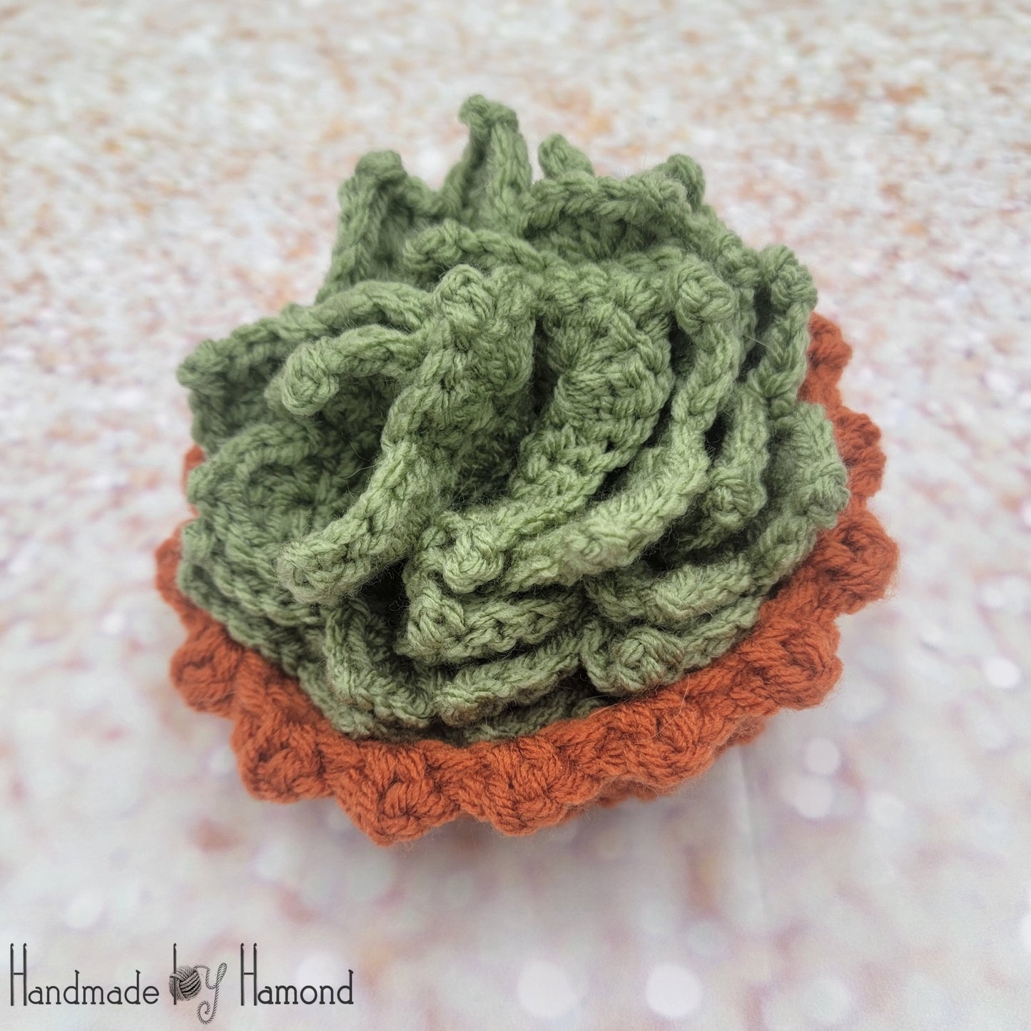 Crochet Succulent Coasters